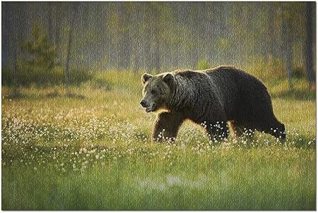 Amazon Co Jp 夕暮れの黄色い花畑を歩くhdヒグマ 52 38cmプレミアム500ピースジグソーパズル アメリカ製 おもちゃ