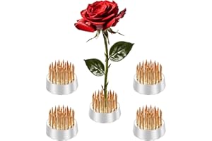 EGGONE Mini Kenzan Pin Frog 23mm/0.9inch Diameter Floral Ikebana Flower Arranger Holder for Small Vase (5Pcs)