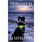 Shelter (Emerson and Snow Book 10)
