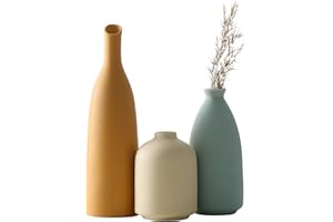 Vases Home Decor, Modern Farmhouse Decor Vase Set of 3, Small Flower Vases for Table, Living Room Vase, Book Shelf Vases for 
