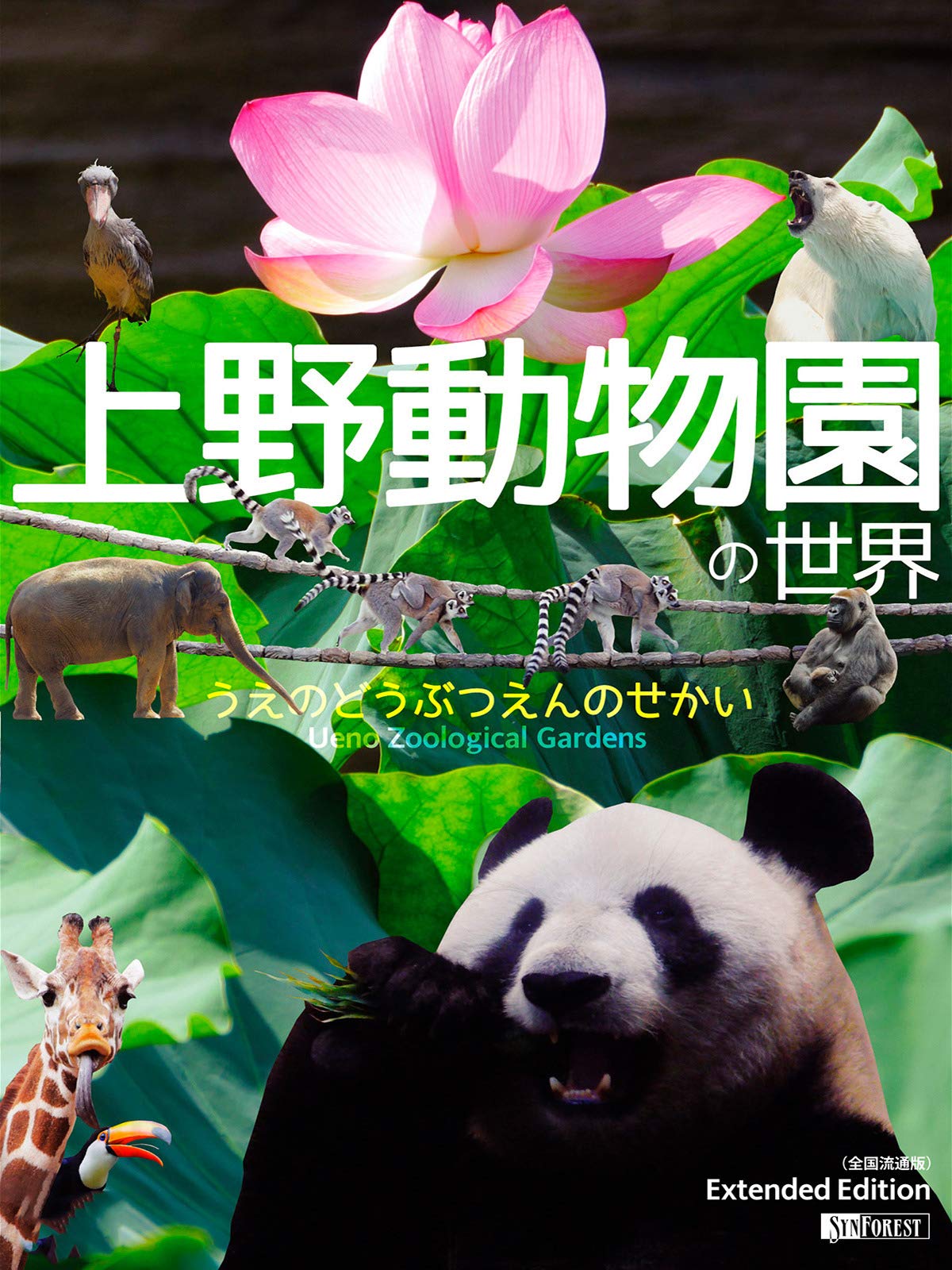 Amazon Co Jp 上野動物園の世界を観る Prime Video