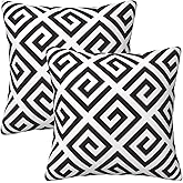 Tebjh Modern Abstract Black and White Pillow Covers 18x18 in Couch Pillow Case Sets of 2 Decorative Square Throw Pillows for Home Living Room Bedroom Bed Cushion Outdoor