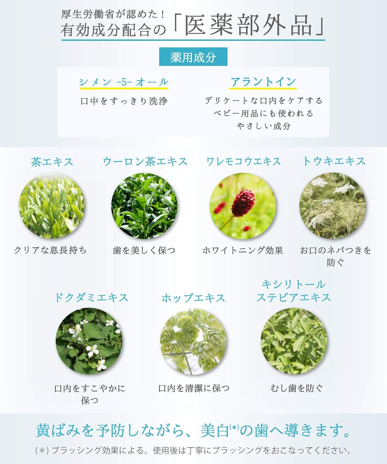 Amazon 医薬部外品 リベル ホワイト マウスウォッシュ 大容量 500ml 日本製 オーラルリンス 歯 ホワイトニング 口内洗浄 洗口液 口臭ケア Rebell 口臭清涼剤 通販 Amazon 医薬部外品 リベル ホワイト マウスウォッシュ 大容量 500ml 日本製 オーラルリンス 歯 ホワイトニング 口内洗浄 洗口液 口臭ケア Rebell 口臭清涼剤 通販