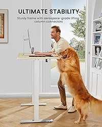 ErGear Height Adjustable Electric Standing Desk, 71
