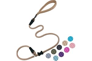 MOTAITY Slip Lead Dog Leash，Strong Nylon Rope Leash and Padded Handle,No Pull Outdoor Walking Training Lead for Small Medium Large Dogs(Light Military Tan, 1/2"×4ft)