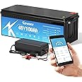 KEPWORTH 48V 100Ah LiFepo4 Battery, Deep Cycle Lithium Batteries with 200A Bluetooth BMS, 10 Years-Lifetime, Perfect for Golf Carts, Boat, Trolling Motor, Lawn Mower, Solar, Off-Grid Life