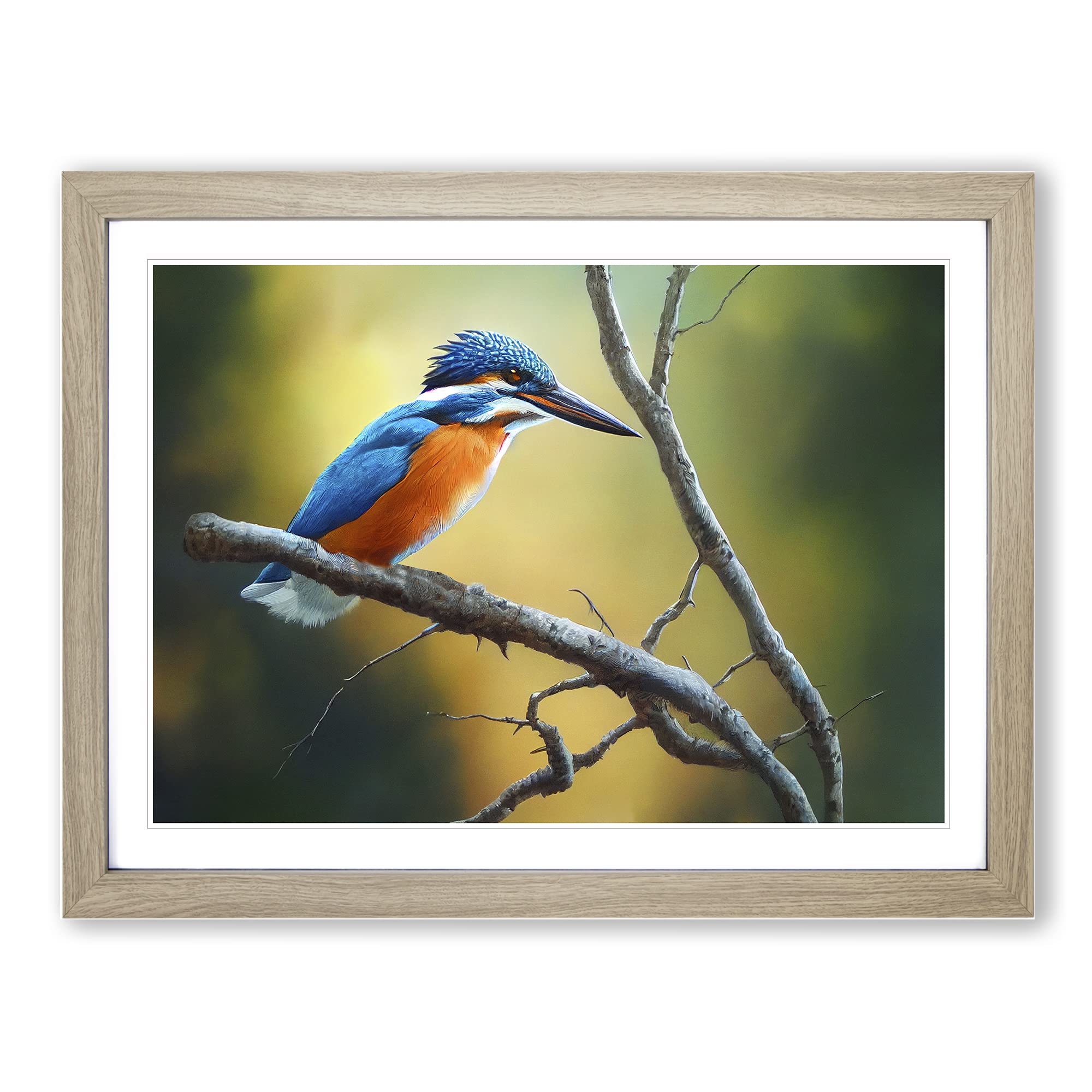Cool Kingfisher Bird Framed Print | A4 Oak Framed Wall Art | Ready to Hang | Modern Nature Picture | Living Room Bedroom Lounge Office