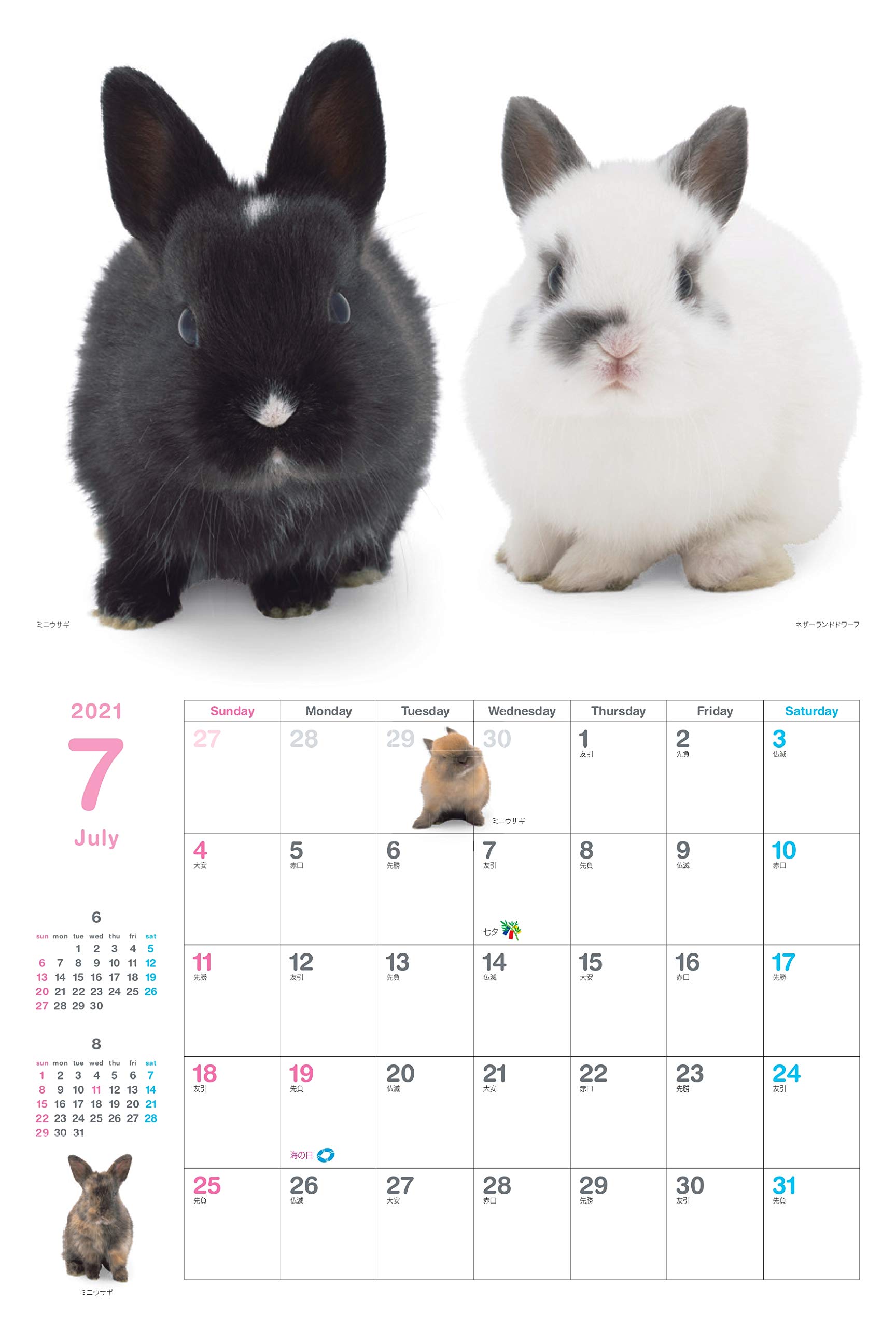 カレンダー21 ウサギぴょんぴょん 月めくり 壁掛け ヤマケイカレンダー21 松橋 利光 本 通販 Amazon