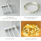 Dalugo Fairy Lights Battery Operated 2m 20 LED Copper Wire Warm White view 7