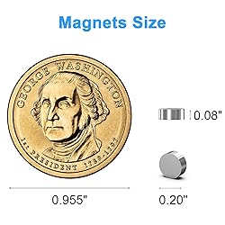 Magnets for Crafts, Caturledas 250 Pack 5x2mm Small