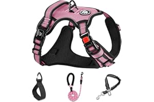 NESTROAD No Pull Dog Harness,Adjustable Oxford Medium Dog Harness with Leash,Reflective No-Choke Pet Vest Harness with Easy Control Soft Handle for Small Medium Large Dogs(M,Pink)