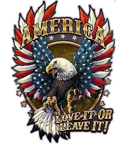 American flag attacking flying bald eagle camper RV motor home mural vinyl graphic decal sticker