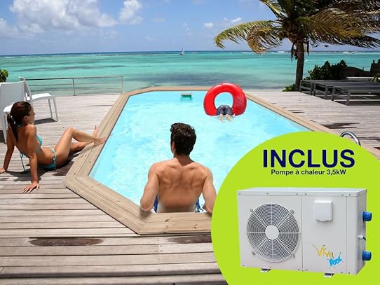 pompe piscine viva pool