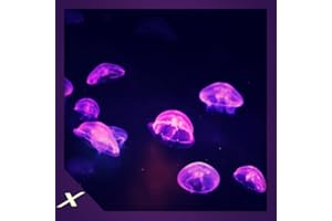 Funky Jelly Fish Aquarium - Colourful Aqua Life