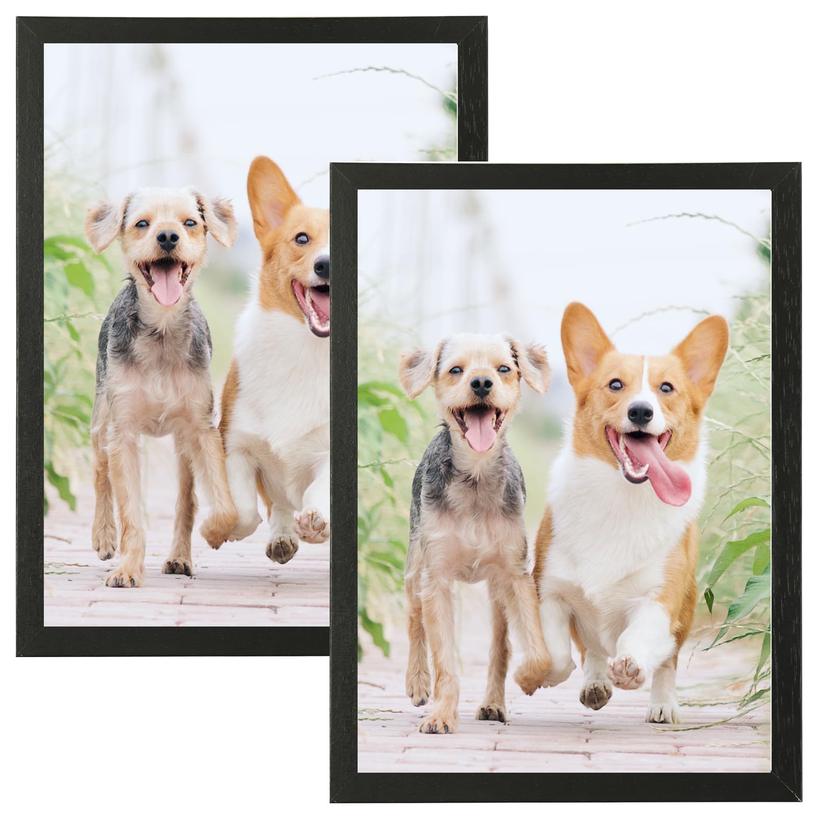 A4 Photo Frame,2 Pack-21x30cm Black Picture Frame with Plexi-Glass,Certificate Frame for Wall Mount or Table Top Display,Set of 2