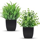 Der Rose 2 Pcs Fake Plants Small Artificial Plants for Black Bathroom Decor | Modern black pots for home office desk shelf coffee tables and kitchen decor, no watering, ideal for gothic Halloween decor