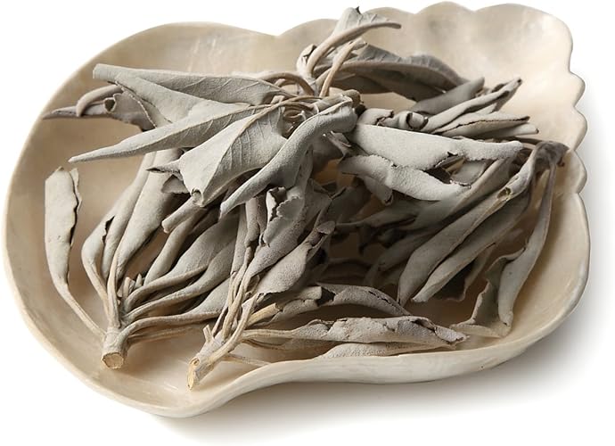 Amazon Co Jp 京珠堂 ホワイトセージ 浄化用 枝付きまるごとタイプ カリフォルニア産 100g ジュエリー