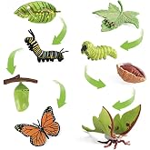 8PCS Life Cycle Figurines of Monarch Butterfly and Actias Ningpoana, Realistic Education Insects Life Cycle Toys, Caterpillar to Butterfly Kit Growth Life Stages Figures for Learning and Teaching Aids