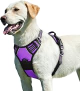 Eagloo Dog Harness Large No Pull Front Back Clips Reflective Purple L