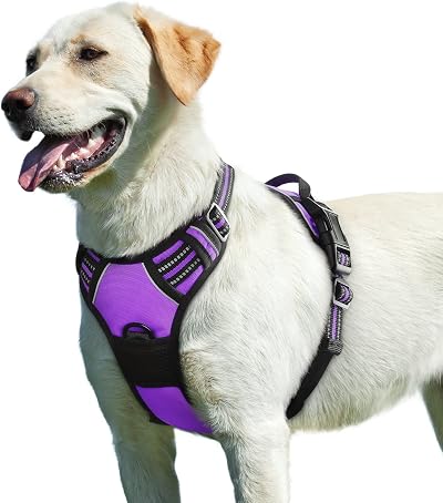 Eagloo Dog Harness Large No Pull Front Back Clips Reflective Purple L