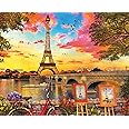 Springbok Puzzles - Paris Sunset - 1000 Piece Jigsaw Puzzle - Large 30 Inches by 24 Inches Puzzle - Made in USA - Unique Cut Interlocking Pieces