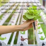 Windspeed 150P Grow Sponges Hydroponics Seed Pod Kit 50 Sponges 24 Baskets 24 view 6