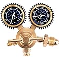Nitrogen Regulator, IMAGE Nitrogen Gauge with 0-800 PSI Delivery Pressure Equipment Brass, CGA-580 Inlet Connection and 1/4-Inch Male Flare Outlet, Great for HVAC Purging, Brazing and Soldering