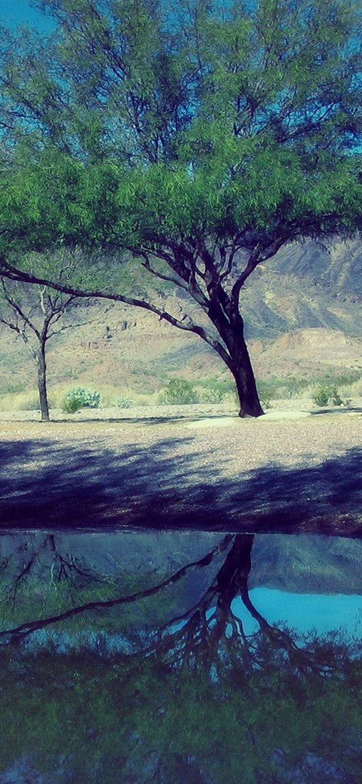 PeelitStickit, Beautiful Nature Wall Murals, ID-1866, vinyl