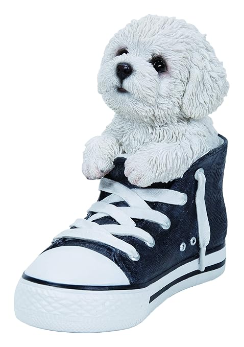 Vivid Arts SS-BCHN-F Dekofigur für Haus oder Garten, Bichon Frisé