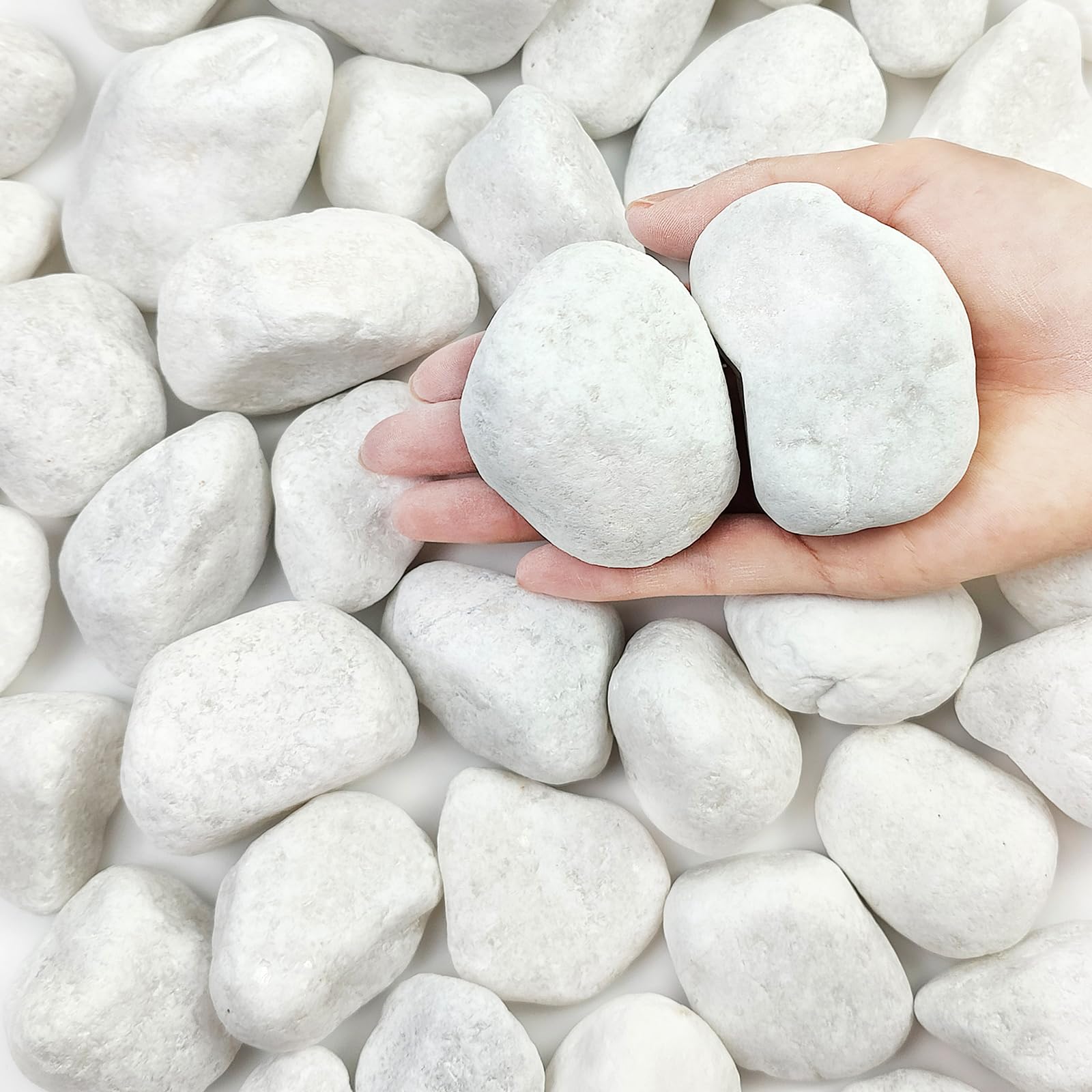 Photo 1 of FANTIAN 5 lbs White Rocks for Plants, 2-3 Inch Large Pebbles for Indoor Plants, Decorative River Rocks for Succulent, Landscaping, Vases, Aquariums, Crafting and Garden Stones