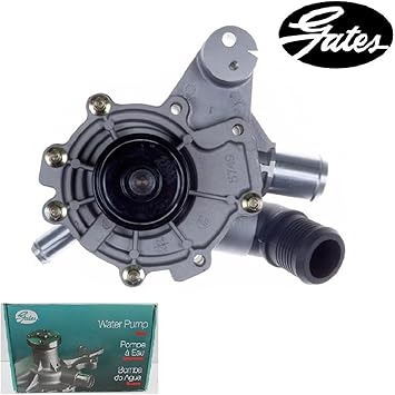 Amazon Com 8usauto Engine Water Pump Fit Mazda Mpv 2000 2003 To 7 1 2003 Automotive