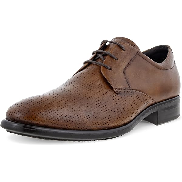 【ECCO】ST.1 HYBRID PLAIN TOE TIE　ダークブラウン Amazon.com | ECCO Men's ST1 Hybrid Plain Toe Shoe, Cognac Smooth