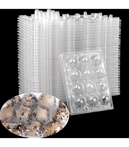 SINJEUN 150 Pack 12 Grids Clear Quail Egg Carton, Djibouti