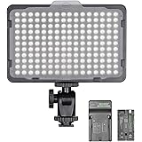 Neewer Dimmable 176 LED Video Light on Camera LED Panel with 2200mAh Li-ion Battery and Charger for Canon, Nikon, Samsung, Ol