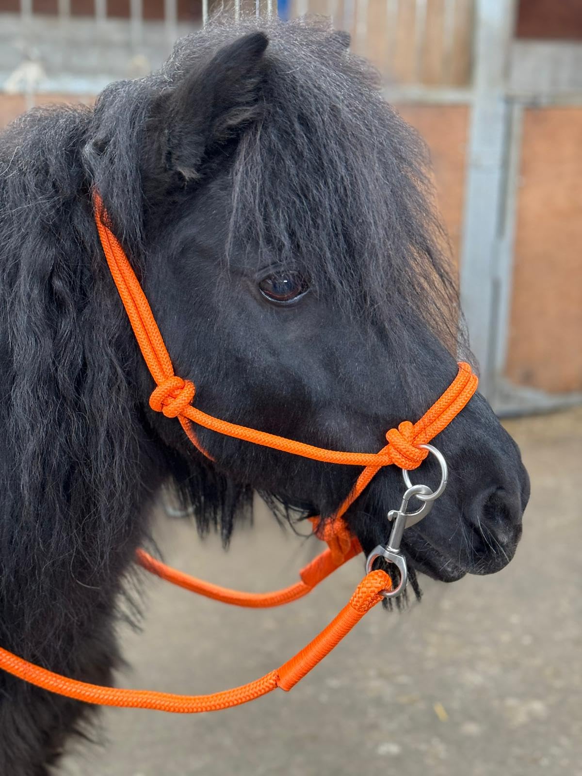 Rope headcollar with Reins for use of Bitless Horse Riding Full to Mini Shet 5 Colours (Orange, Cob)