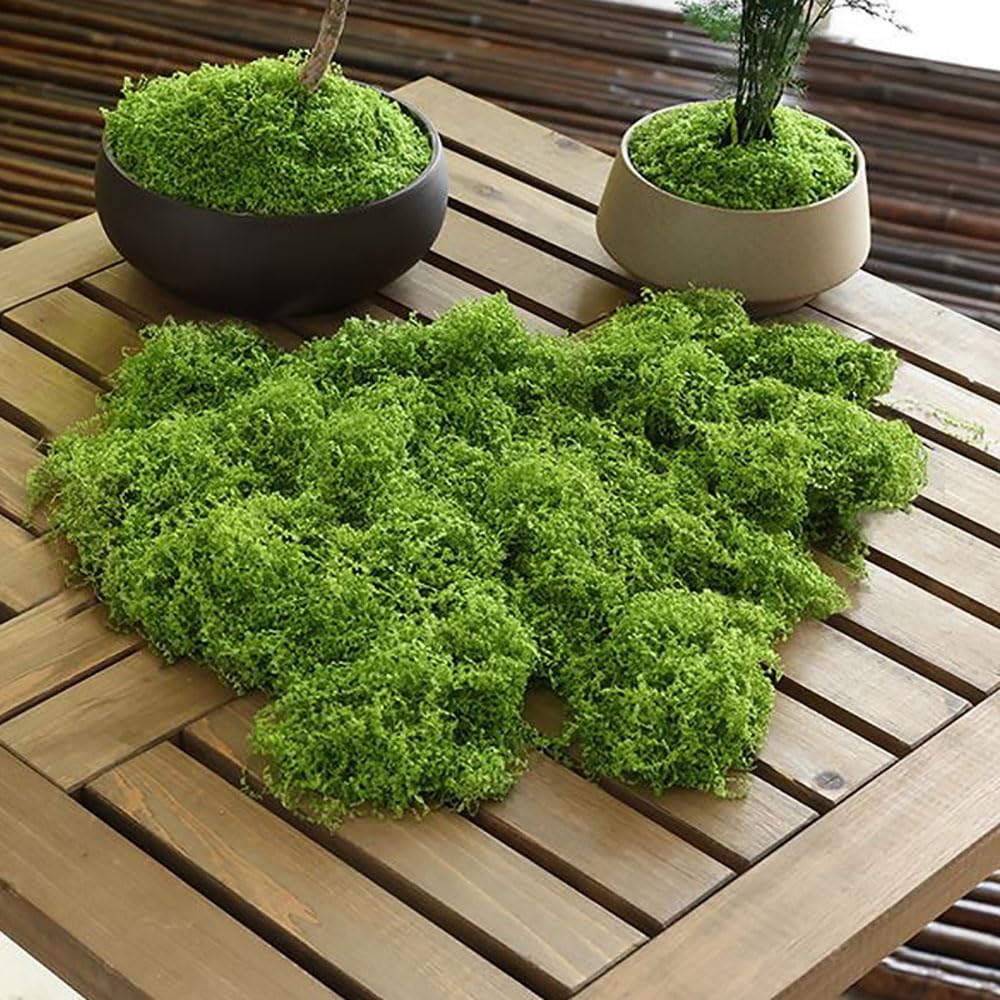 Artificial Moss, 200g Fake Moss Lichen Plants for Home, Miniature Fairy Garden Accessories, Patio Decoration Realistic Looking Garden Synthetic Turf