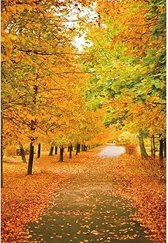 Amazon Qinunipoto 撮影用 背景布 秋 落ち葉の紅葉撮影 背景 背景幕 秋シーン 黄色いカエデの葉 写真背景 耐久性のある生地カエデの葉 自然シーズンホリデー結婚式の背景 街路芸術的な肖像画 写真撮影 小道具 部屋の壁の装飾ビニール 1m X 1 5m バックペーパー 背景