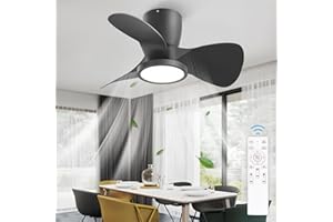 SYLEEN 24'' Ceiling Fans with Lights and Remote, DC Motor Large Air Volume Ceiling Fans, Dimmable 3 Colors Temperature, 1800 Lumens LED Light Ceiling Fan for Bedroom, Kitchen, Living Room, Apartment