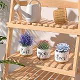 TuDou Best Mum Ever Ceramic Succulent Pot Gift Boxed view 5