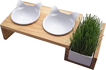 vivipet elevated cat feeder