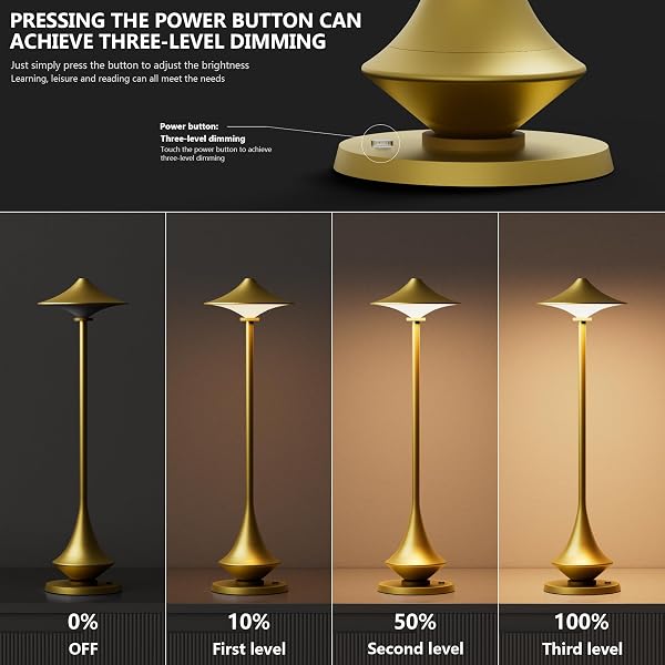 TIMJORMAN MODERN MINIMALIST CORDLESS TABLE LAMP,RECHARGEABLE,ALUMINUM ALLOY BODY FOR LIVING ROOM/BEDROOM/KITCHEN/OUTSIDE (GOLD COLOR 1 PACK)