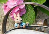 Pot Buddies Beatrix Potter Peter Rabbit Climbing Plant Pot Hanger view 4
