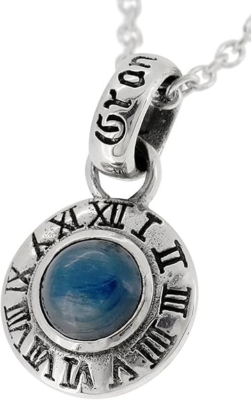 Amazon グランデュアー Gran Deur 全六種類 カイヤナイト コイン シルバー925 ネックレス チェーン付き メンズ ネックレス 通販