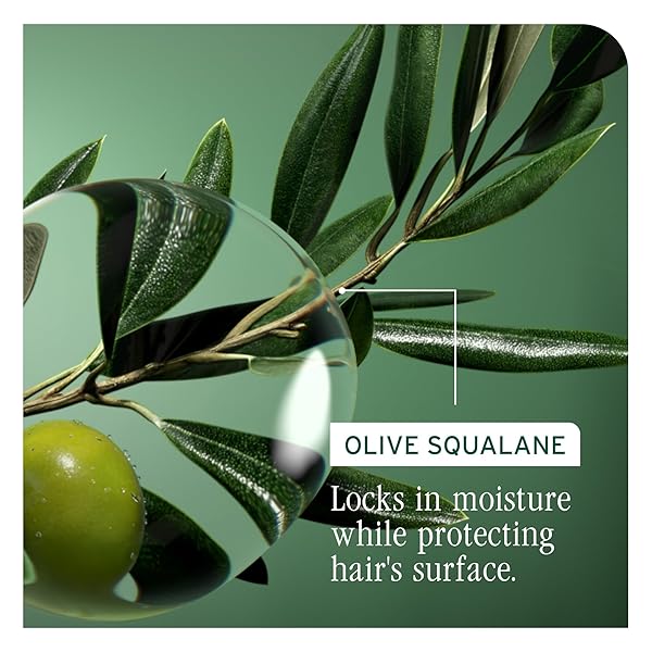 BIOLAGE STRENGTH RECOVERY CONDITIONER – MOISTURIZES & STRENGTHENS DAMAGED HAIR, SOFTNESS & SHINE, OLIVE SQUALANE & VEGAN PROTEINS, PARABEN-FREE, VEGAN, 7.9 FL OZ, PACKAGING MAY VARY