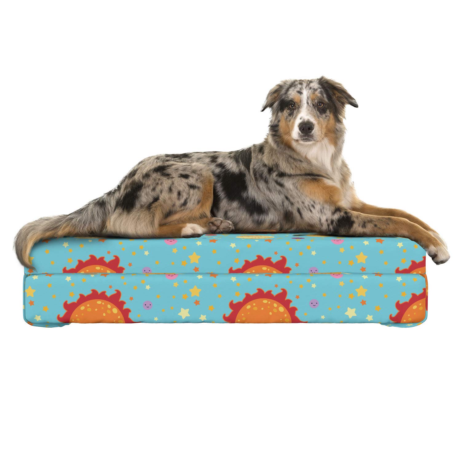 The 8 Best Cooling Mars For Dogs