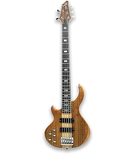 Amazon.com: Gstyle Left-handed Fretless 4 String Neck