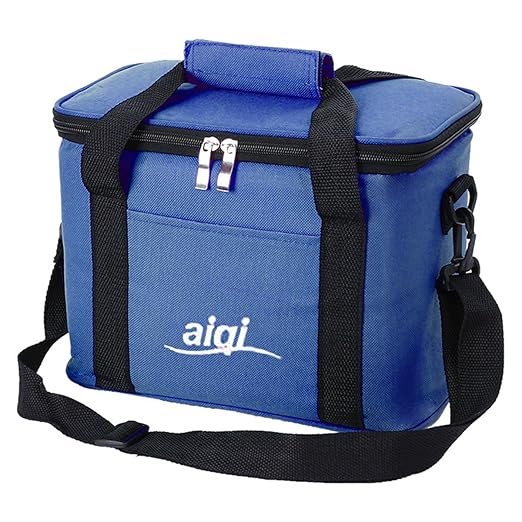 Sasairy Bolsa de Almuerzo Gran Capacidad Bolsa Nevera Bolsa ...