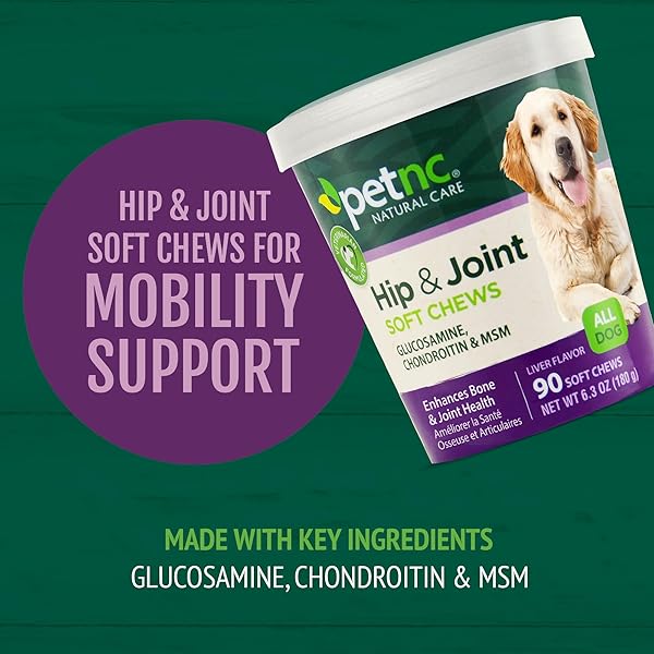 PETNC NATURAL CARE HIP & JOINT HEALTH SUPPLEMENT FOR DOGS (90 CHEWS), GLUCOSAMINE CHONDROITIN MSM DOG CHEWS WITH HYALURONIC ACID, LIVER FLAVORED BONE & JOINT SUPPORT SUPPLEMENT, FOR ALL BREEDS