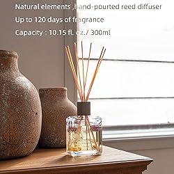 Cocorrína Reed Diffuser Set, Chamomile Tea