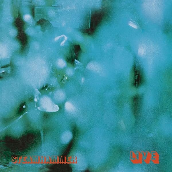 【レア】 非売品 BEST OF STEAMHAMMER CD 71Vrkdpuv0L._UF1000,1000_QL80_.jpg